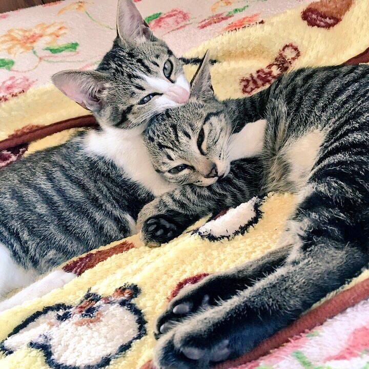 656a80c6 16d5 4254 8571 0dbe00be7682