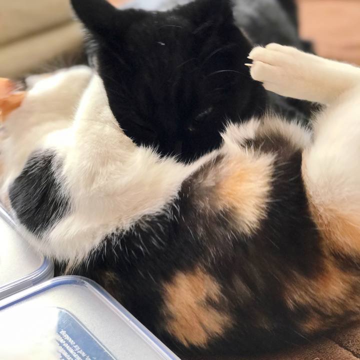 656b25c5 573e 4f0a 8719 506987638b54