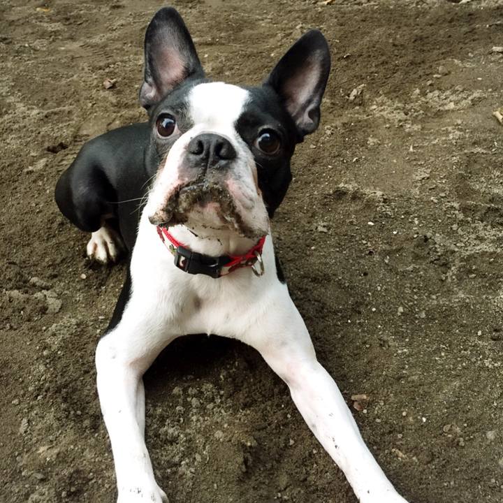 656ba1da 05b9 4dd2 a61a 7b95d04c273a