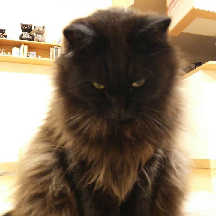 656bea79 7ac5 47be b2b7 6f8a83924bc5