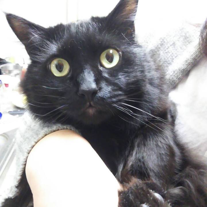 656ca4ca 3802 41b2 b9d5 87c33459c13e