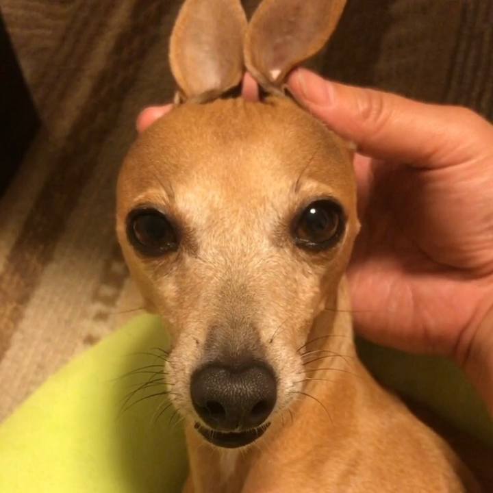 656cac17 94b9 43d3 9b8d ae387750395a