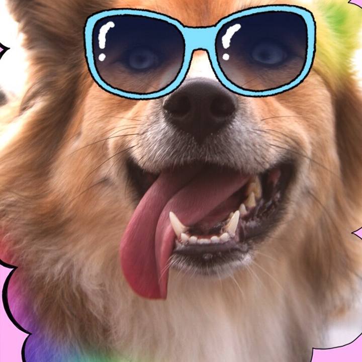 656cd1d2 910c 465f a2d7 0674c1879f87