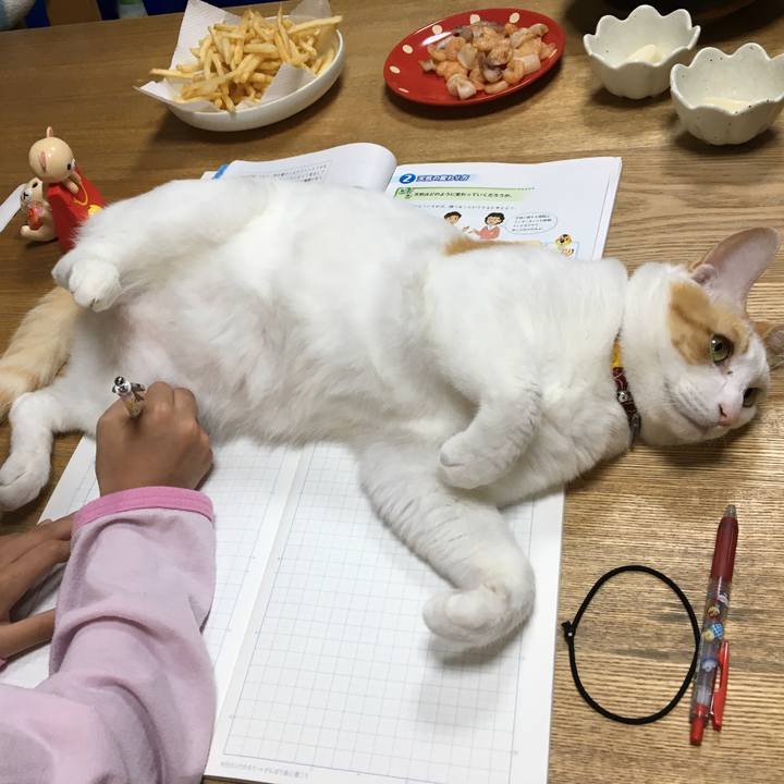 656cfa93 4da2 4af7 bd00 01f2f05a6800