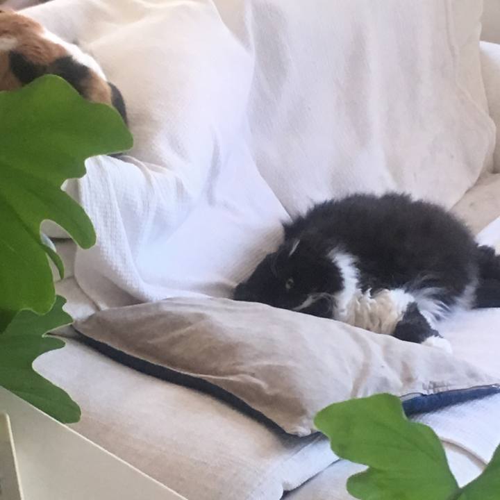 656e06c2 6ed1 480e ac19 a0bc43273bcc