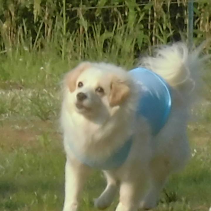 656e677f d867 4002 8bc1 2fb4981f3662