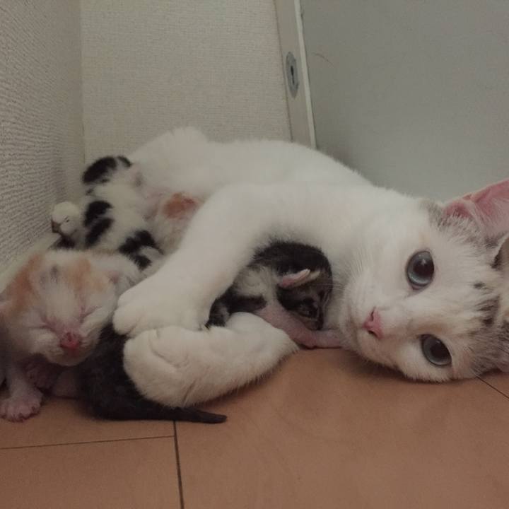 656ee932 4780 448a a71d 4dcfadb1db13