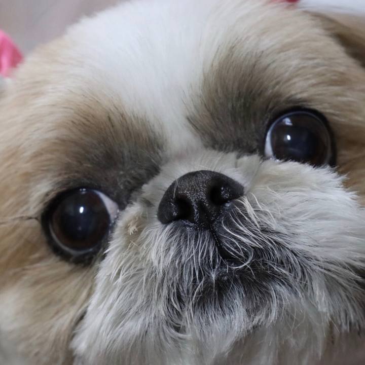 656ef9a5 1552 47a4 8b33 9ab2cb28934d