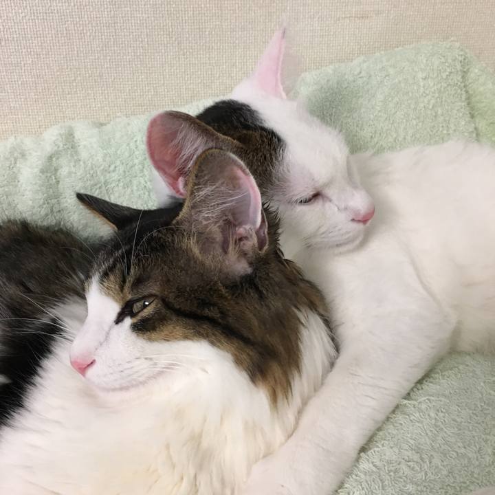 65708af7 da6d 480e 8904 6a2a9ada0de5