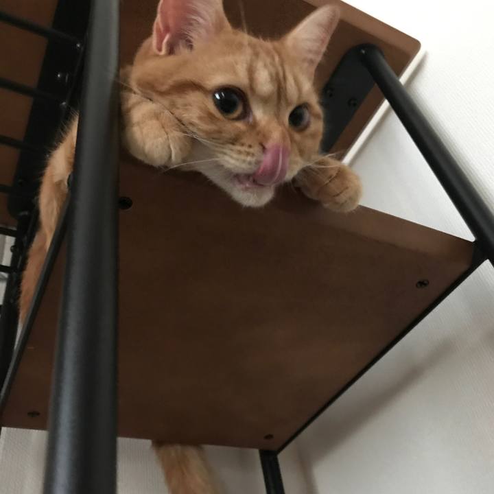 6570ce8e 673a 4771 a65e e02662f6ba21