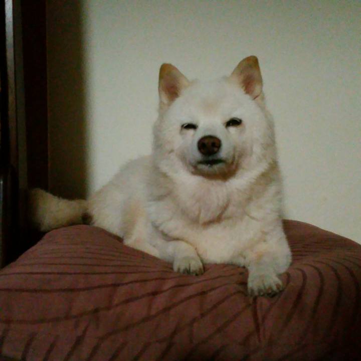 65714f60 3024 4ecc ac2a 7a96ab023232