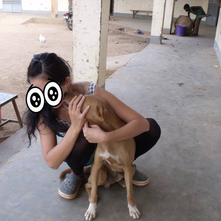 65715a7c 13f1 4ac4 8fe5 fe6f74719b02