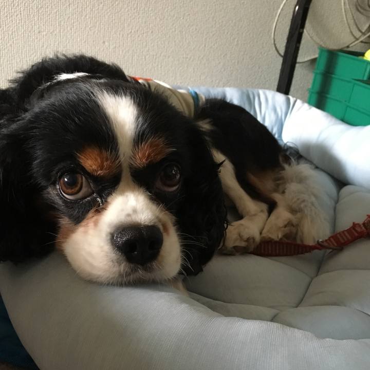 65718681 0e7f 42d0 9eb4 95133ea94278