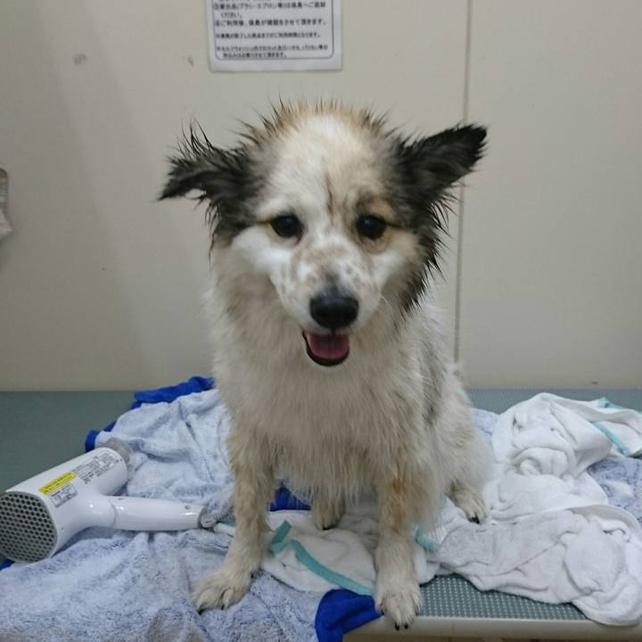 6571f55d ba95 44e0 9156 61d125f5b937