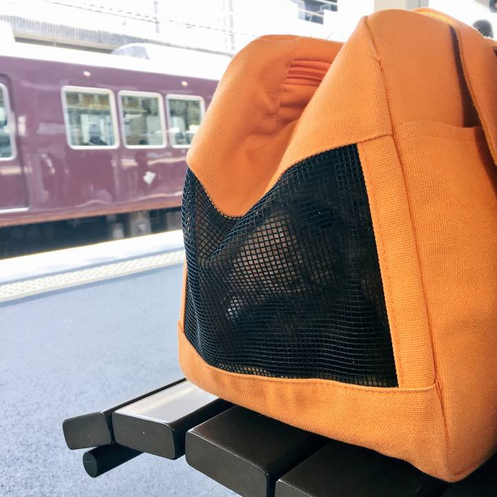 65721346 37c0 4fc0 9c51 a085d8a493e5