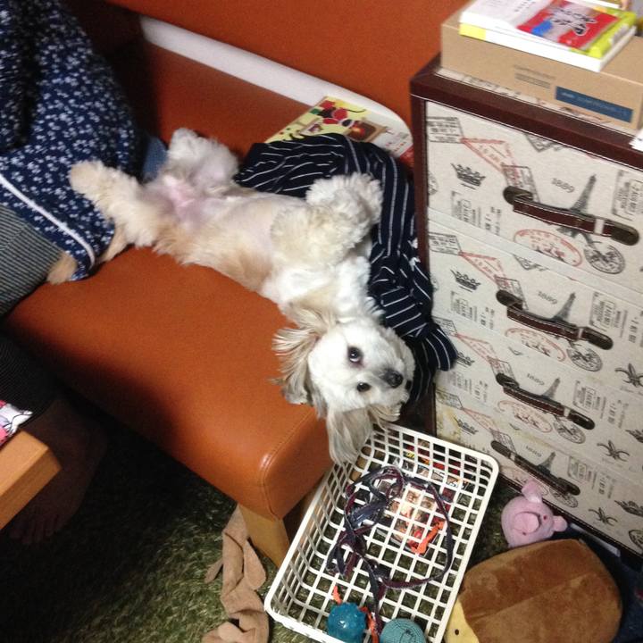 65722ae5 7cd1 4d78 bf47 acf69d4ff15e