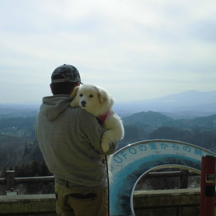 65727476 1876 43c8 bc95 9c44d7235f7a