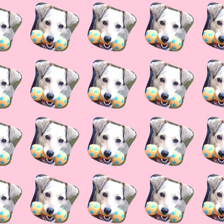 6572fdc5 56e0 4da5 a2c4 df0bc969672a