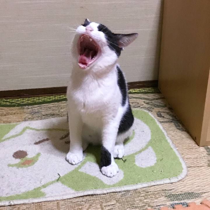 65730f6b 9731 4271 9c1c 482359ca6089