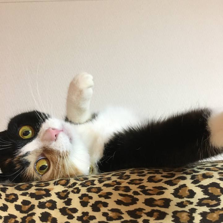 6573154b 453e 4a82 a573 0a39024cc86e