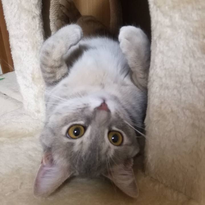 657324be abac 4ca4 b3cc 3d92a4ce9958