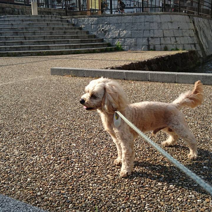 657326e8 75dc 49a8 ab7b 19e85f5d7200