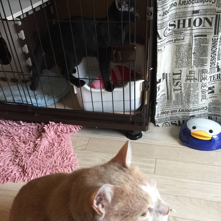 6573379a 6aa4 4631 a830 4dcf6ade3b3f