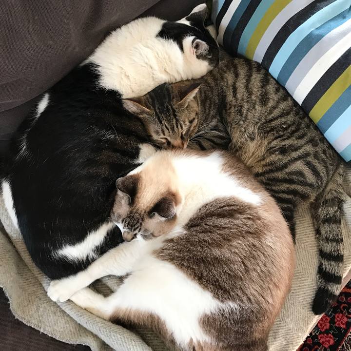 657358d4 b5a7 4d81 9857 bb988779bee5