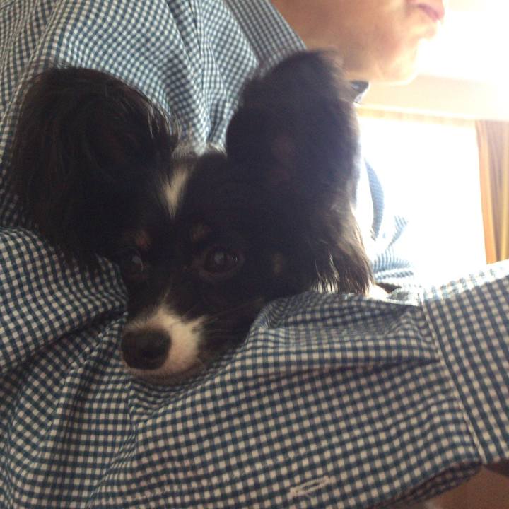 6573bd37 7eaf 45ee a90e abe9eb882ee3