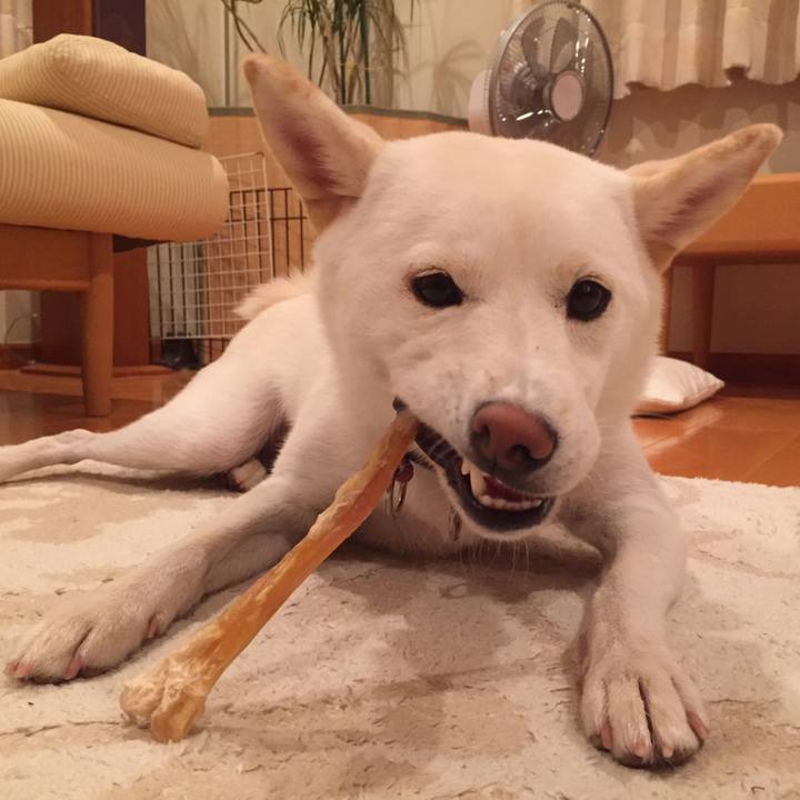 65741203 9a42 463e 9445 1f14a05e1118