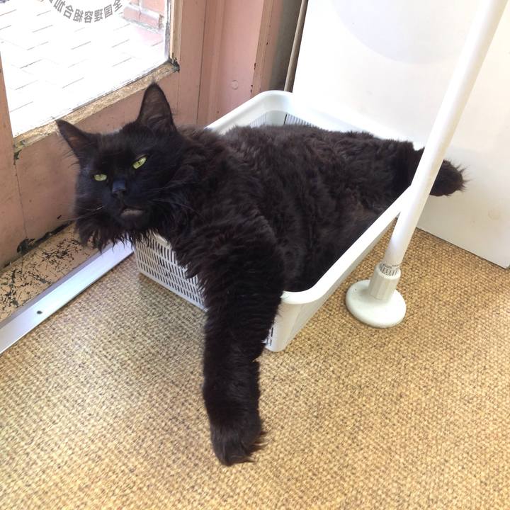 6574b8e9 34e3 4903 bde3 ead13f089863