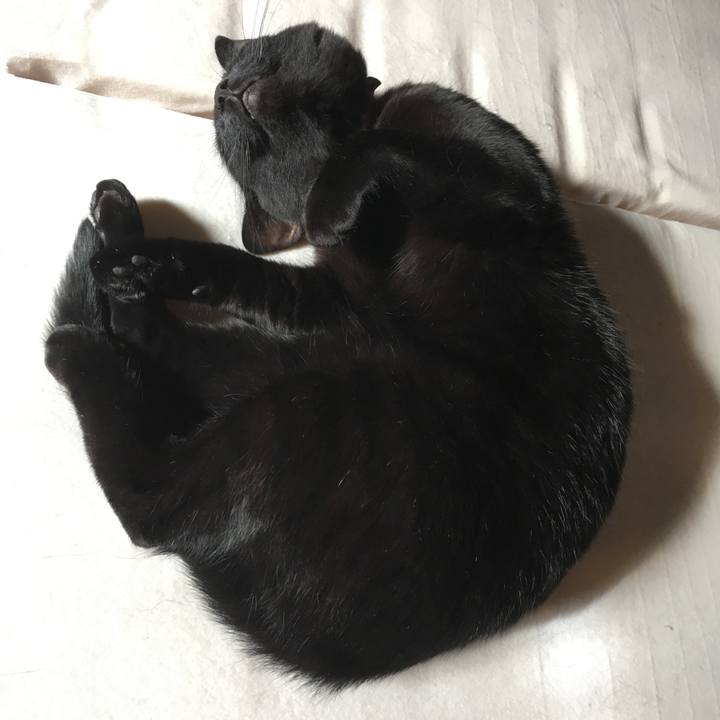 657553e4 68ae 4ed0 895e 1bc61c821110