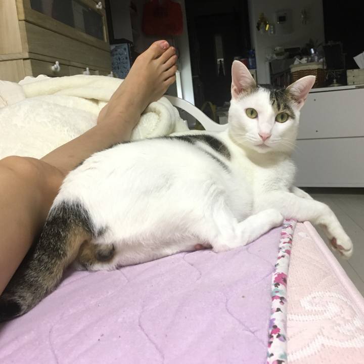 65760a20 683f 473a ae7e a365c71d2c25