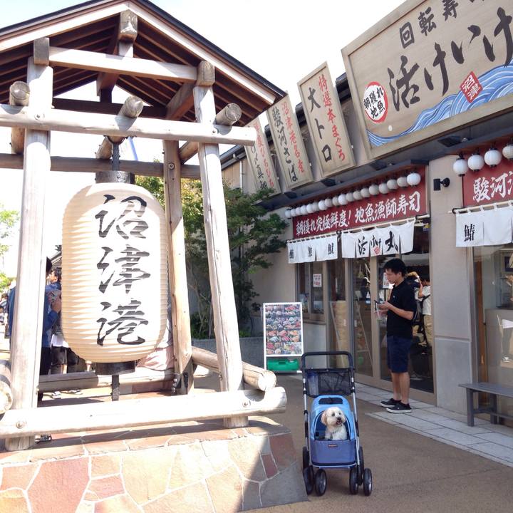 65760b81 0390 4160 b9cb 9fd70821f505