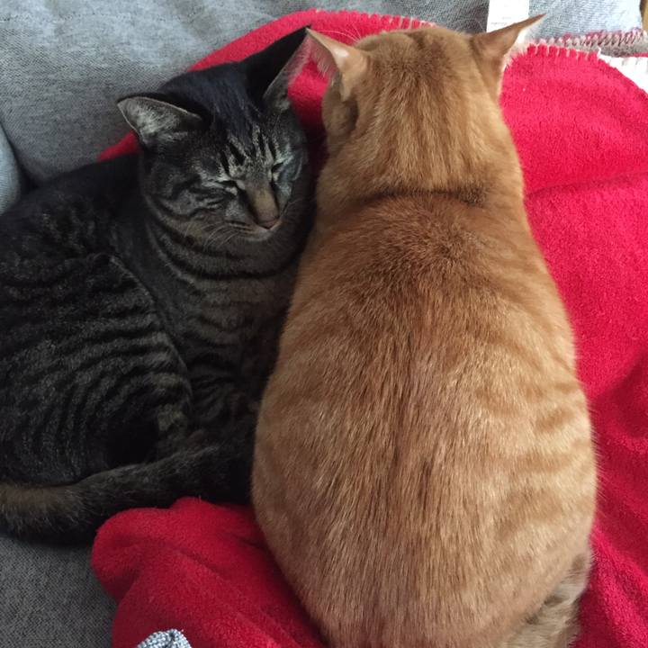 65769d85 d265 44fb 9460 41ab74b906a3