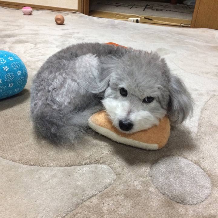 65770532 00cc 45a1 8192 aa69fcbe70d4