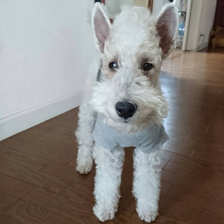 65774f8e 5e5e 4f91 8872 41ca9a8117ea