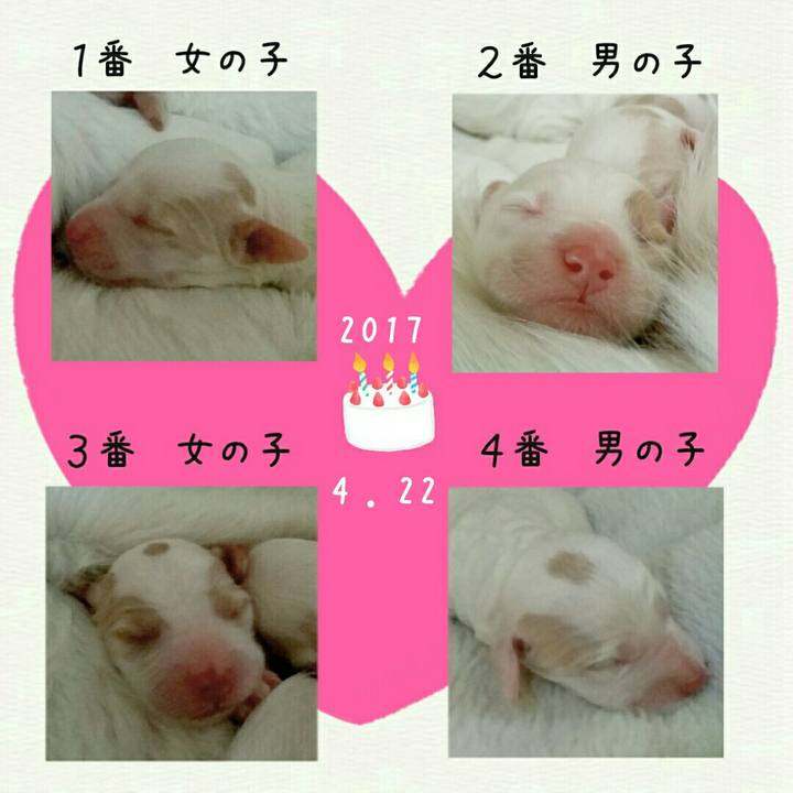 65775d1c 2cbb 44fa bc3c 75de6f097770