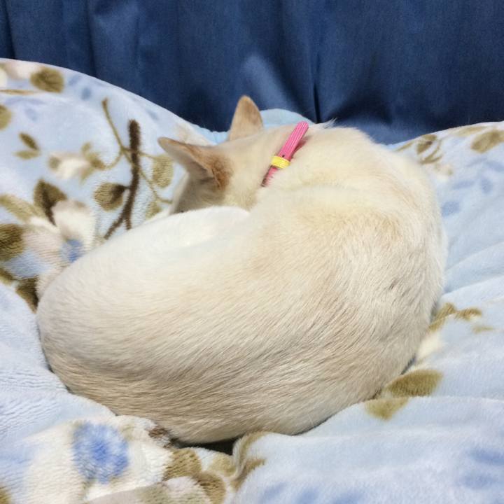 6577928b 45c2 40ce ac11 00ae6d3683ce