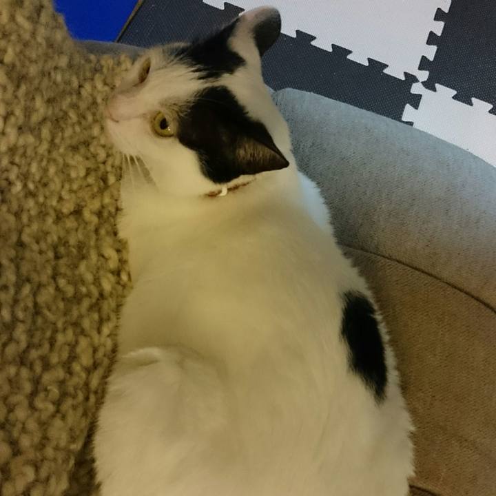 65787463 a2f2 45be bdff 148d26933957