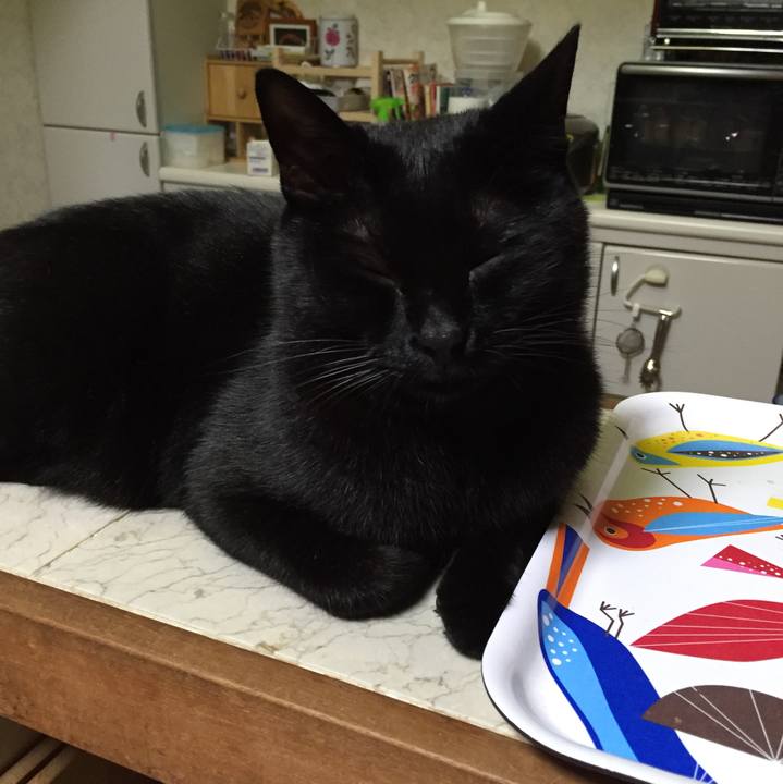 6578a13c 0381 44d0 b8a2 7a63982a5e00