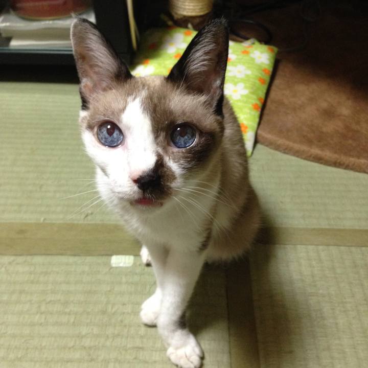 657915e7 f912 4ef6 b401 d05779186553