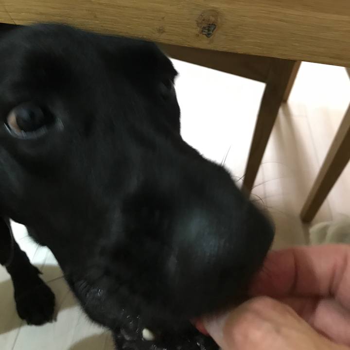 6579774a 8ffe 4558 bda7 fb69b77b8555