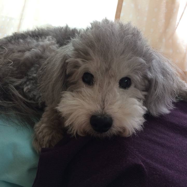 65797b2b ced4 4ee0 8711 533d284e3c0e