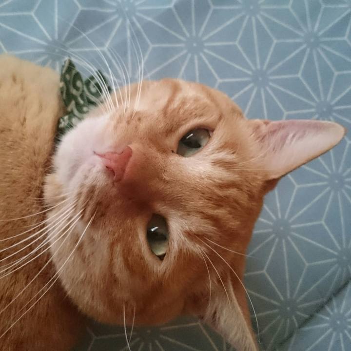 657a6ce4 5a94 4680 85c9 8328920063f1