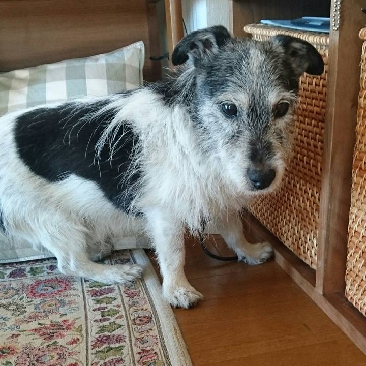 657a856d d59c 4dee afdd adaee8853cf0