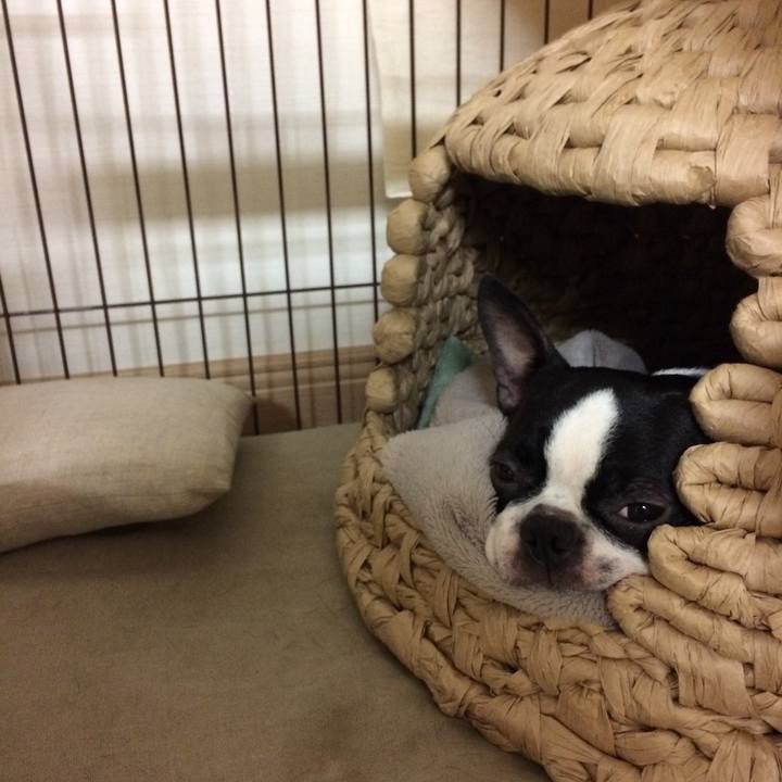 657ab151 5aa6 411a b4a2 c660e1a84f62