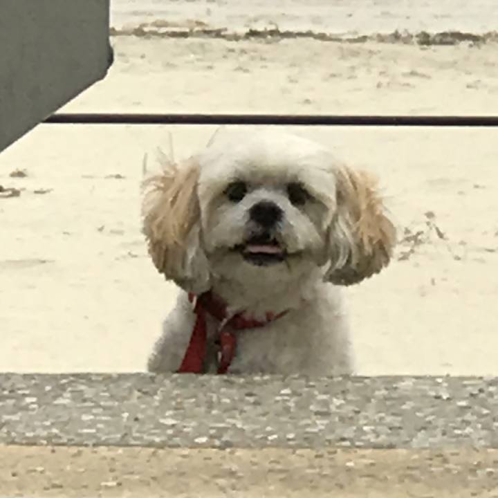 657afeb9 d89d 487d adcd 42b26930c10d