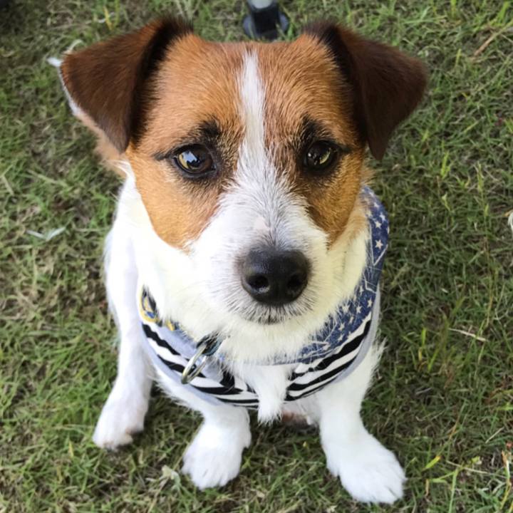 657b2382 ca53 4080 8372 8d04c5cf9a1d