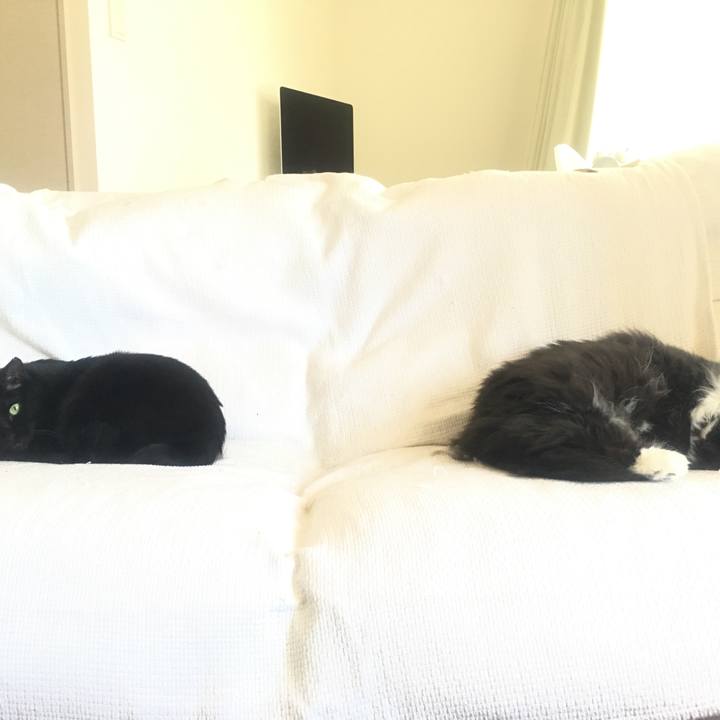 657b7970 e4d9 432d 9ae3 a23cf7f80b58